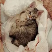 コロン※プロフ必読※の画像