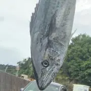 エビピラフ