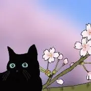 ぽんちゃんの画像
