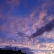 *ラナン*の画像