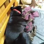 らおう☆