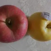 ごりんごの画像