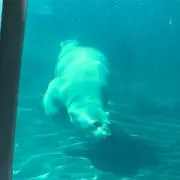 382の画像