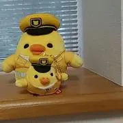 黄色い鳥の画像