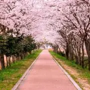YURIUSU#プロフ必読の画像