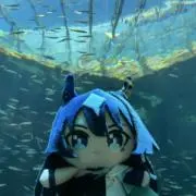 あおの画像