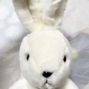Kohaku◡̈⋆︎*の画像