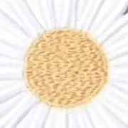 るん＊の画像