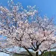 あい☆の画像