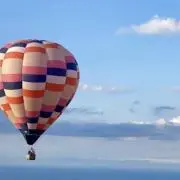 ハム