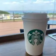 メイの画像