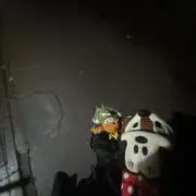 ちっぷの画像