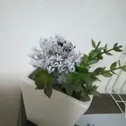 ゆあん