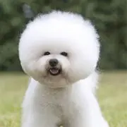 らんらんの画像