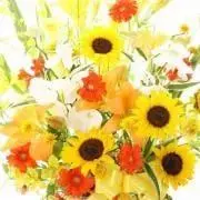 ☆RINA☆【プロフ必読】の画像