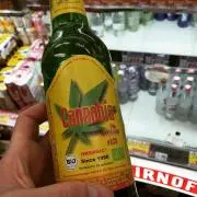 kantonaの画像