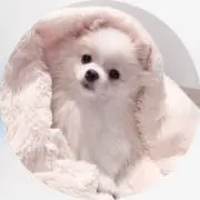 ‎‎♡の画像