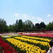 toの画像