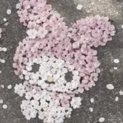 ⭐︎
