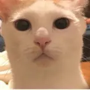 まっちゃんの画像