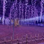 KOTARImamaの画像