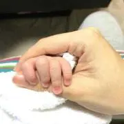 YHNの画像