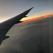ひーの画像