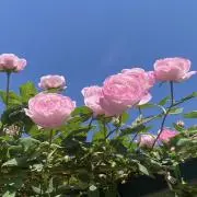 一期一会*