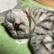ミナト