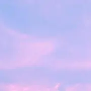 チョコ プロフ必読