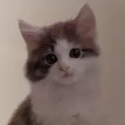 カンドの画像