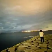 トコラの画像