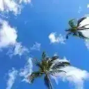sky shopの画像