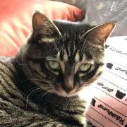 ゆり プロフ参照　断捨離中まとめ買い歓迎の画像