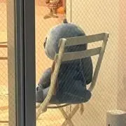 としお♀の画像