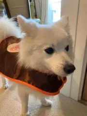ミドちゃんの画像