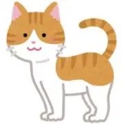 にゃんた（値下❌まとめ買い自動設定済）の画像
