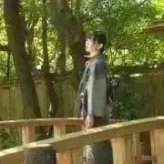 Freeの画像