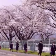 ゆきだるまの画像