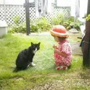 ひまの画像