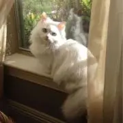 Mの画像