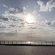 163@