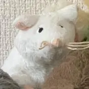 ねずこの画像