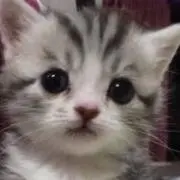 ゆな【即購入OK】