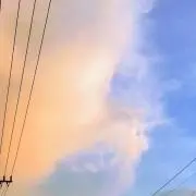coco☆の画像