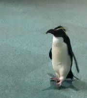 moriの画像