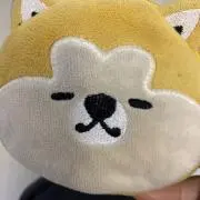 Risu Caril