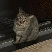 りぃー［断捨離中］の画像