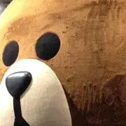 どびん