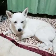 Lucy Love♡♡[プロフ必読]